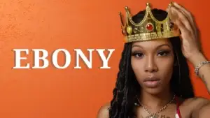 Read more about the article Top 20 Ebony Trans Pornstars (2026)